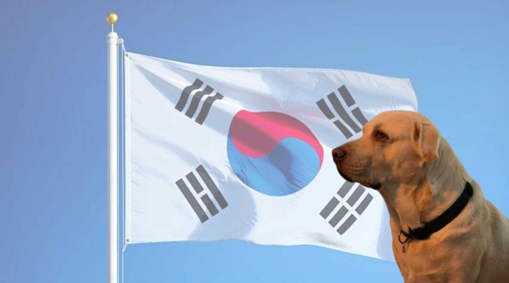 nombres coreanos para perros