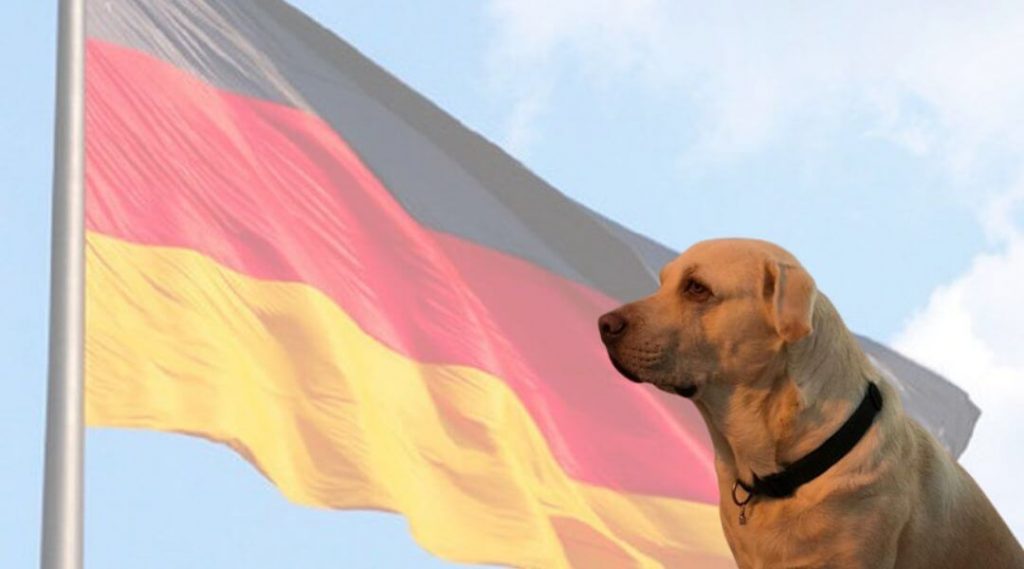 nombres alemanes para perros