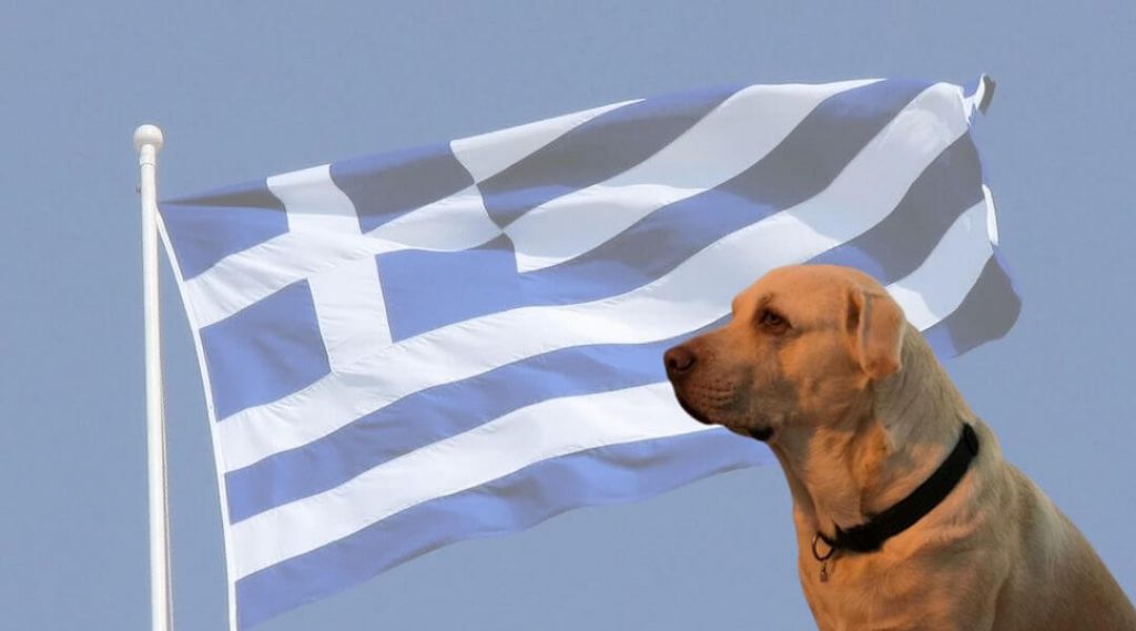 nombres griegos para perros