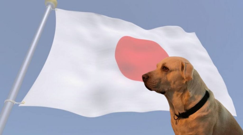 nombres japoneses para perros