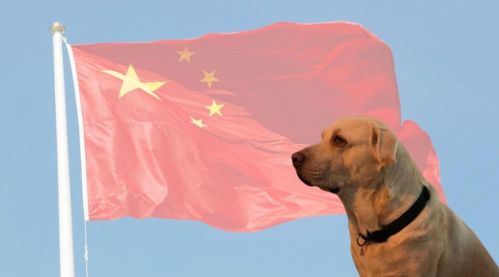 100 nombres chinos para perros