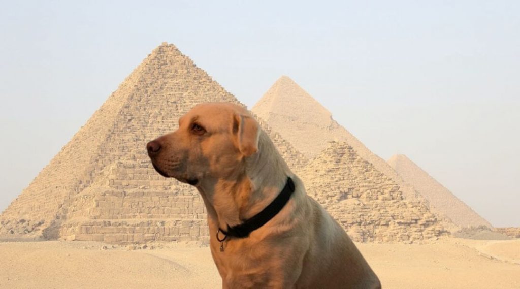 nombres egipcios para perros