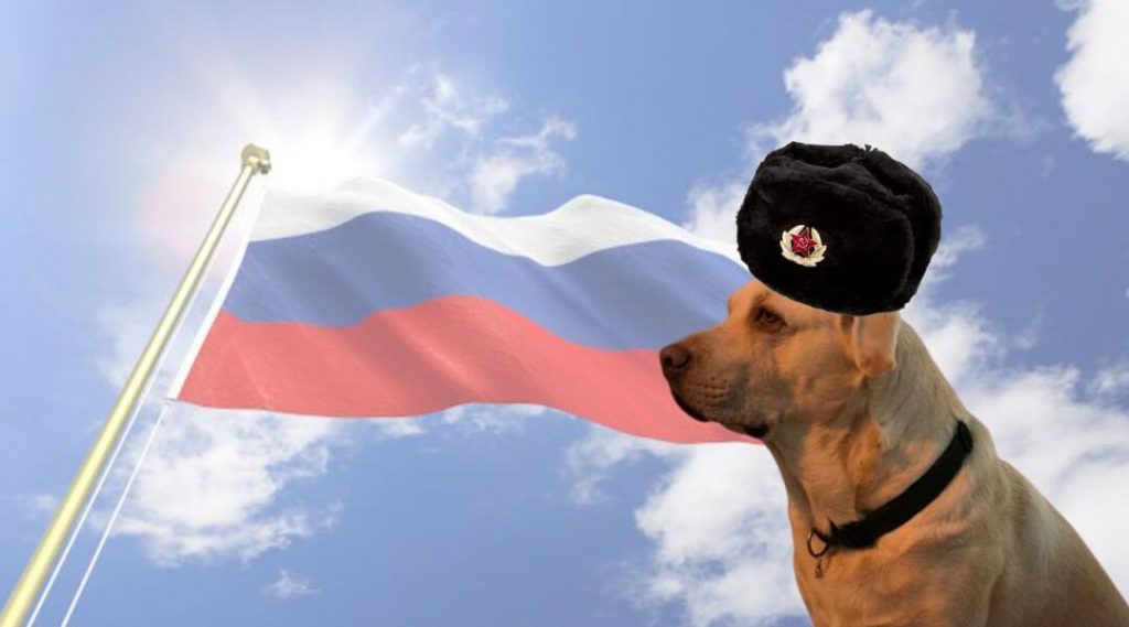 100 nombres rusos para perros